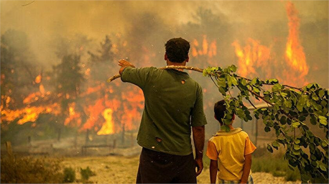 BAKAN KİRİŞCİ: `ANTALYA`DA 1,5 YILDA YANAN 60 BİN HEKTARLIK ORMANIN YÜZDE 95`İ YENİDEN YEŞİLLENDİRİLDİ`