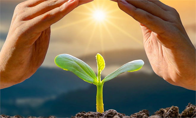 YERLİ VE MİLLİ TOHUMLAR KENTLİ KADIN ÇİFTÇİLERLE BULUŞUYOR