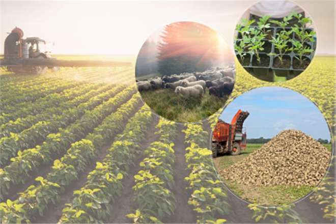 54,7 MİLYON LİRALIK DESTEKLEME ÖDENİYOR!