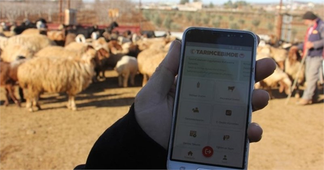 ÇİFTÇİLER `TARIMCEBİMDE` MOBİL UYGULAMASINI DEĞERLENDİRDİ