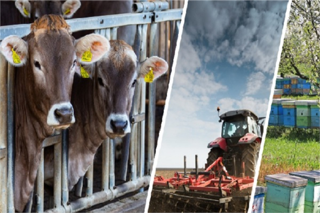 BAKANDAN DEPREMZEDE ÇİFTÇİLERE AÇIKLAMA!