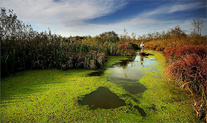 KORUNAN ALANLARDA ZİYARETÇİ REKORU