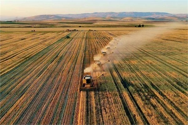 1,4 Milyar Liralık Destek Ödeniyor!