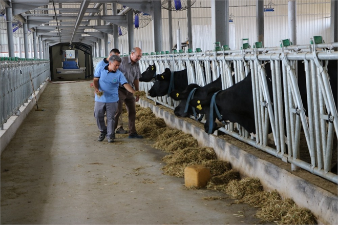 Artık İşi Robotlar ve Teknoloji Yapıyor