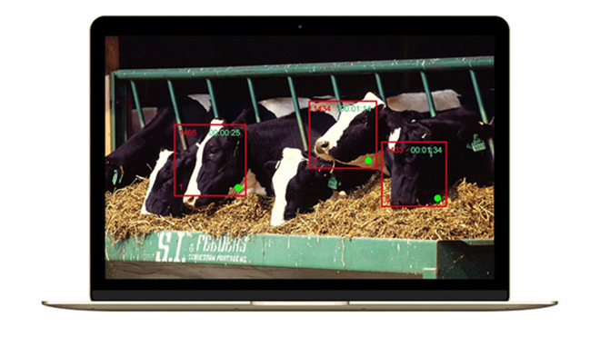 Yüz Tanıma Teknolojisi Hayvan Sağlığını İyileştirebilir