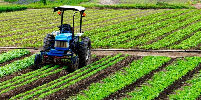 TÜRKİYE İKLİM AKILLI VE REKABETÇİ TARIMSAL BÜYÜME PROJESİ TANITILDI