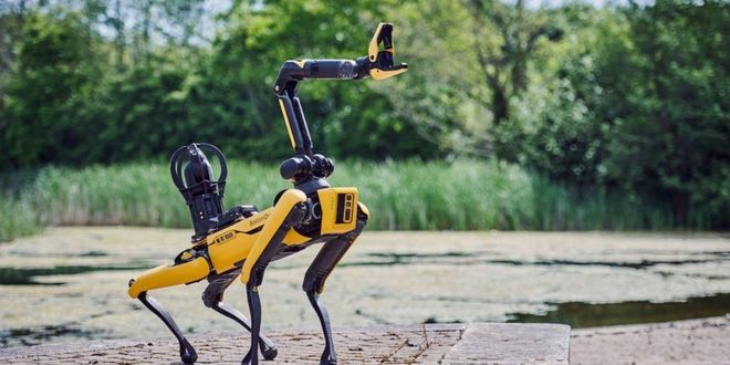 Robotik Köpekler Sahneye Çıkıyor!