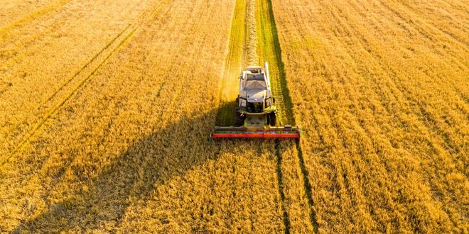 Desteklemeler Bugün Ödeniyor!
