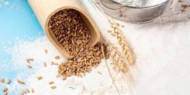 TMO Son Buğday Tanesine Kadar Alım Yapacak