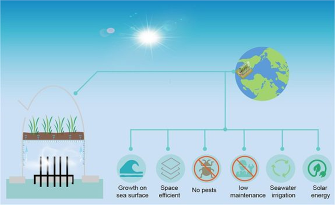 2050`de 10 Milyar Nüfusa Yetecek mi? Denizden Gelen Tatlı Su ve Mahsul Yetiştirme Teknolojisi