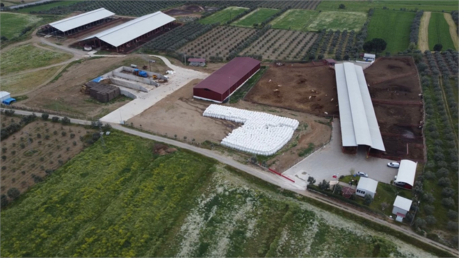 Bakan Yumaklı: `Damızlık Düve Yetiştiriciliği İçin 80 Milyon TL Hibe Desteği Sağladık`