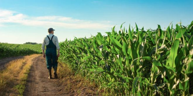 Desteklemeler Bugün Ödeniyor!