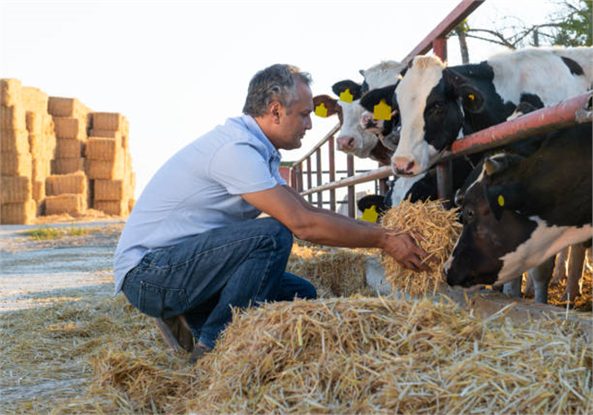 ABD Tarım Bakanlığı, Türkiye Hayvancılığı Mercek Altına Aldı