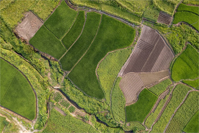 Su Kalitesi ve Hassas Topraklar: Fosforun Etkisi ve Geleceği