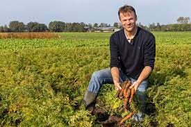 Odun Hamuru Elyaf Bantlarıyla Tarımın Geleceği