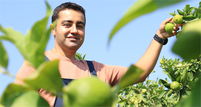 Sıfır Karbon İzi ile Parlayan Mersin`den Yeşil Limon Hikayesi