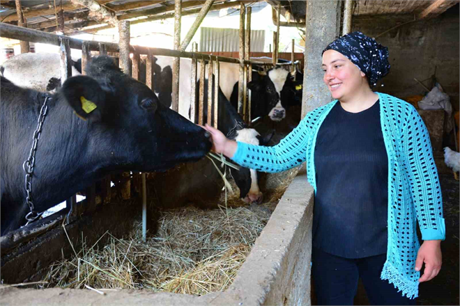 Engelli ve Eski Hükümlülere Altın Fırsat: 2024 Hibe Desteği Başvuruları Açıldı!