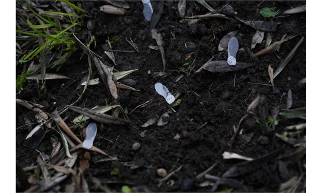 Yapay Zeka Tarıma El Attı: Acer i-Seed, Çevresel Değişkenleri İzleyen Yenilikçi Bir Çözüm