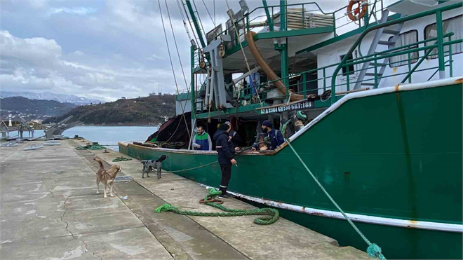Hopalı Balıkçılar, Sezonun Son Büyük Hamsi Avında Zafer Kazandı