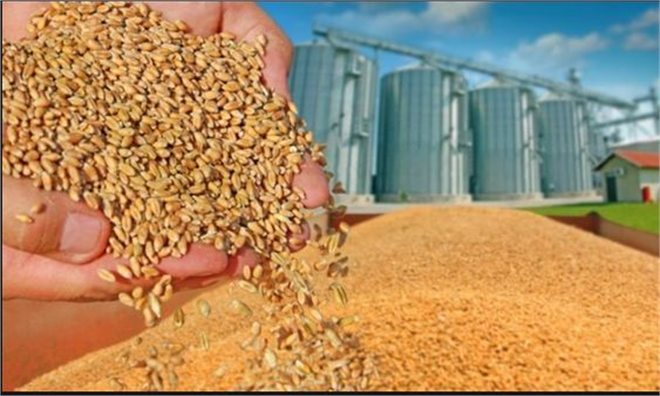 Lisanslı Depolarda Ürünlerinize Ek Destek Geliyor!