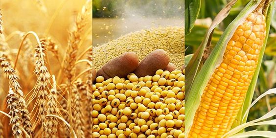 Desteklemeler Ödeniyor!