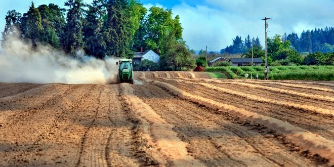 Yapay Zeka ve Daha Derin Kökler Toprağın Daha Fazla Karbon Depolamasına Nasıl Katkı Sağlayabilir?