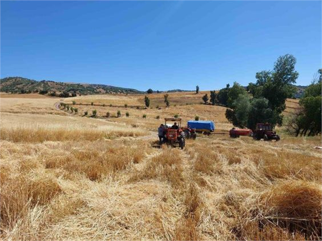 Hububat Alım Ödemeler Devam Ediyor!