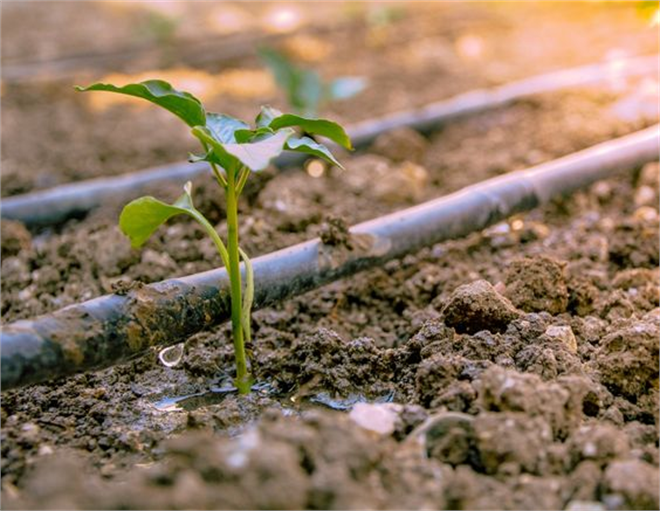 Desteklemeler Ödeniyor!