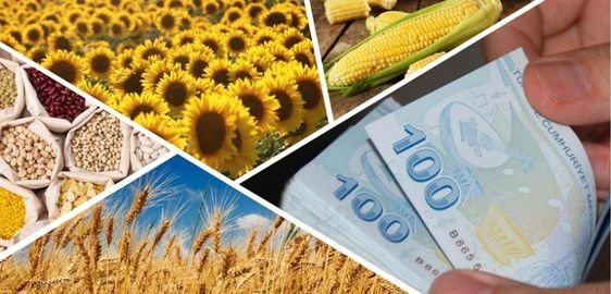 Desteklemeler Ödeniyor!