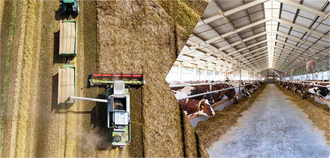 Desteklemeler Ödeniyor!