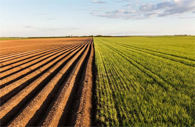 Kullanılmayan Araziler Üretime Kazandırılıyor!