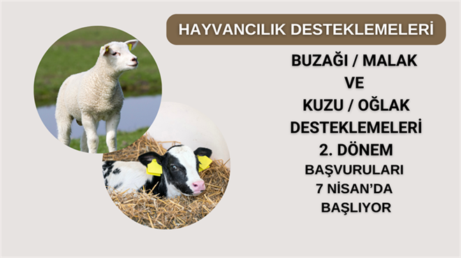 Hayvancılık Destekleme Başvuruları Başlıyor!