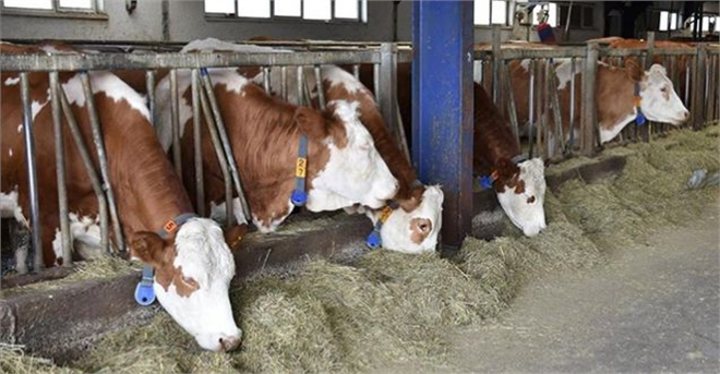 Desteklemeler Ödeniyor!