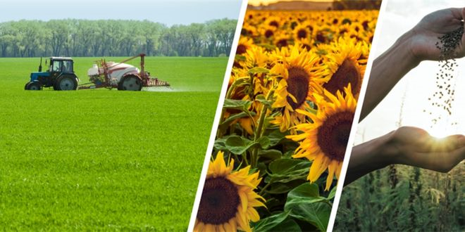 116 Milyon Liralık Tarımsal Destekleme Ödemesi Hesaplara Aktarılıyor!