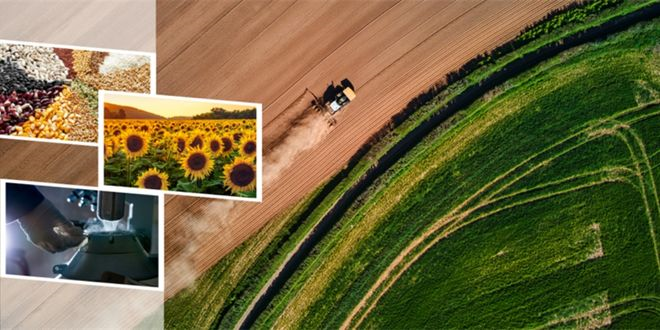 Desteklemeler Ödeniyor!