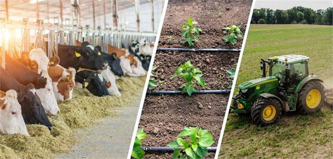 Desteklemeler Ödeniyor!