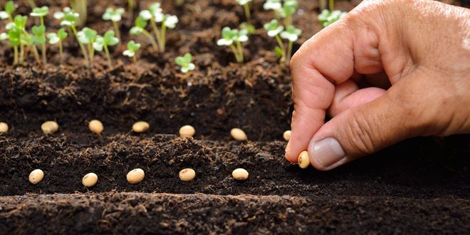 Desteklemeler Ödendi!