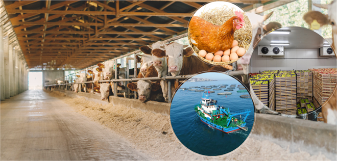 IPARD III Programı 10. Başvuru Çağrı İlanı Destek Bütçesi Duyruldu!