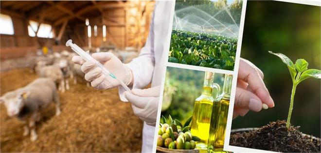 Desteklemeler Ödendi!