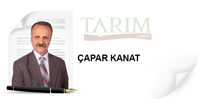 SÜTÜ SARARTANLAR KİMLER