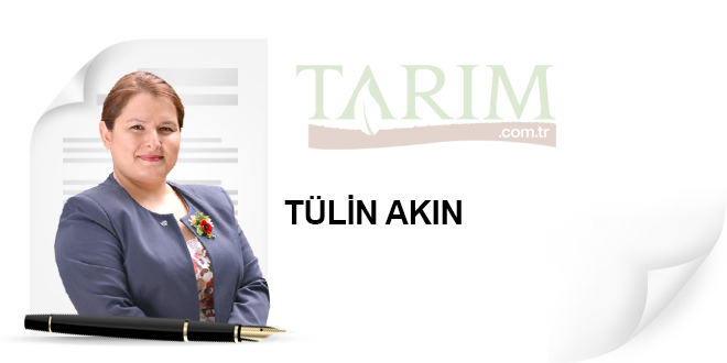 Mobil Dunya Kongresi Izlenimlerim - Tarimda Mobil Paneli