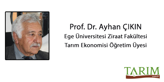 Üniversitenin İşlevi Nedir ?