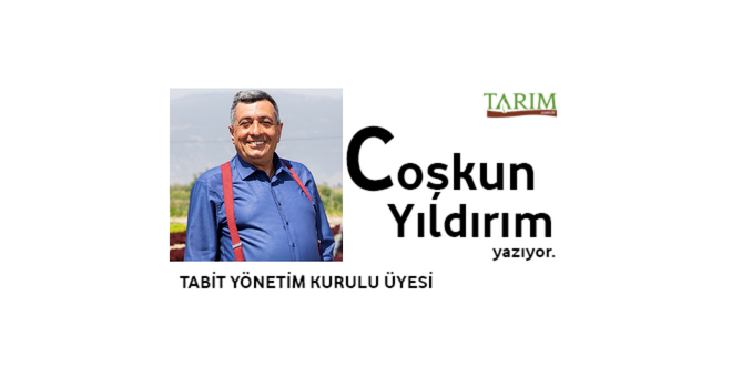 Türkiye`nin Sudan Tarım Girişimi: Büyük Vizyondan Beklenmedik Sonuca