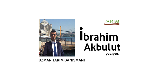 Tarımsal Desteklemeler