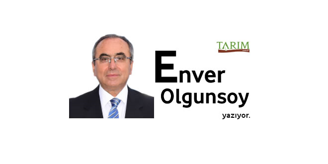 GERÇEK YİYECEKLER - NAYLON YİYECEKLERE KARŞI*