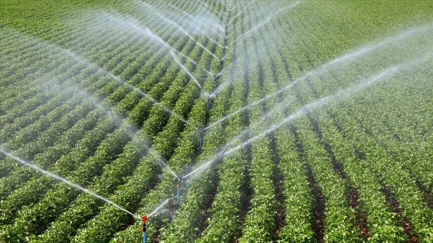 Kırsal Kalkınma Desteklerinde Hibe Oranları Arttı!