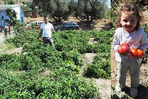 Çeyiz sandığından çıkan hazine