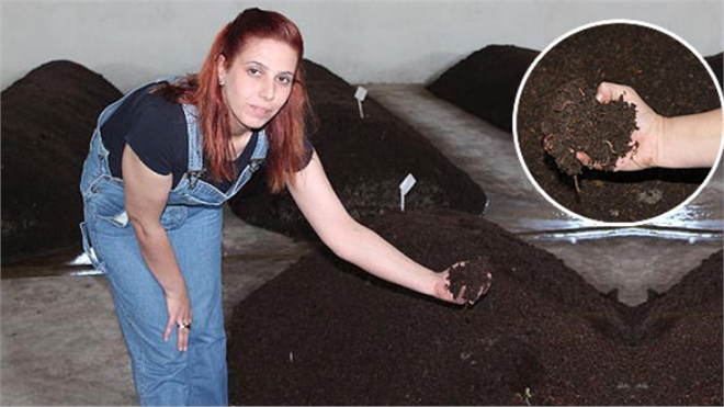 KOSGEB`li Kadın Girişimcinin Solucan İşçileri