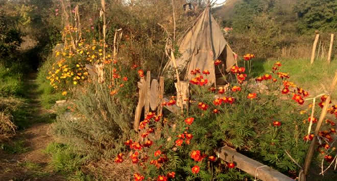 Toplum Destekli Permakültür Uygulama ve Ortak Doğal Yaşam Çiftlikleri Projesi