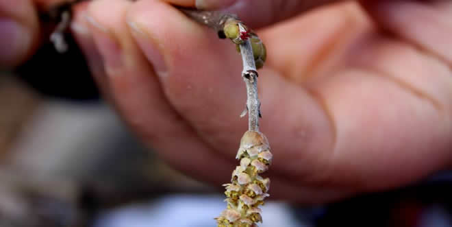 `Üreticilere Ürün Bazlı Destekleme Verilmelidir`